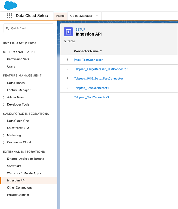 Salesforce Data Cloud API Ingestion page showing the list of API Ingestion Connector names.