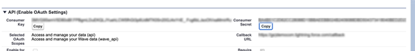 API settings with consumer key, consumer secret, selected OAuth scopes, and callback URL.